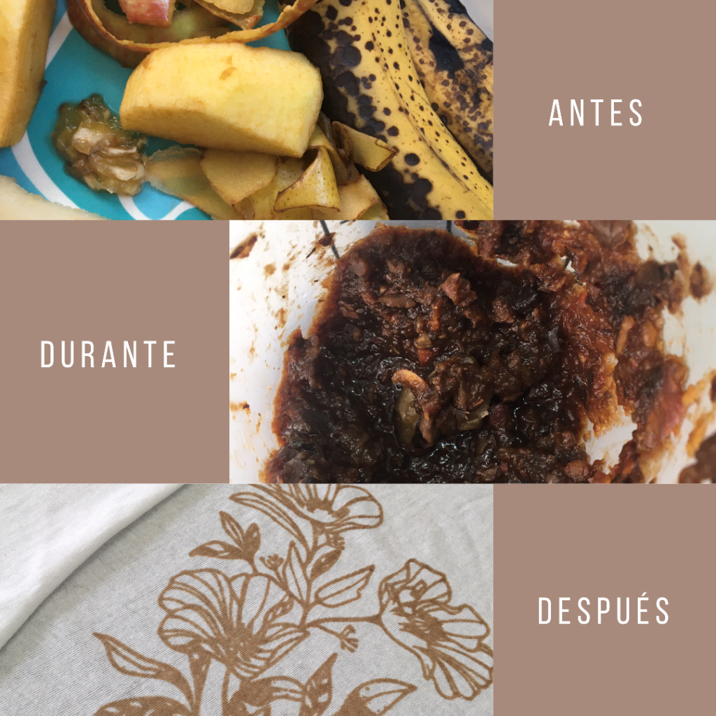 Tintes con Desechos de Frutas | Luciana Marrone