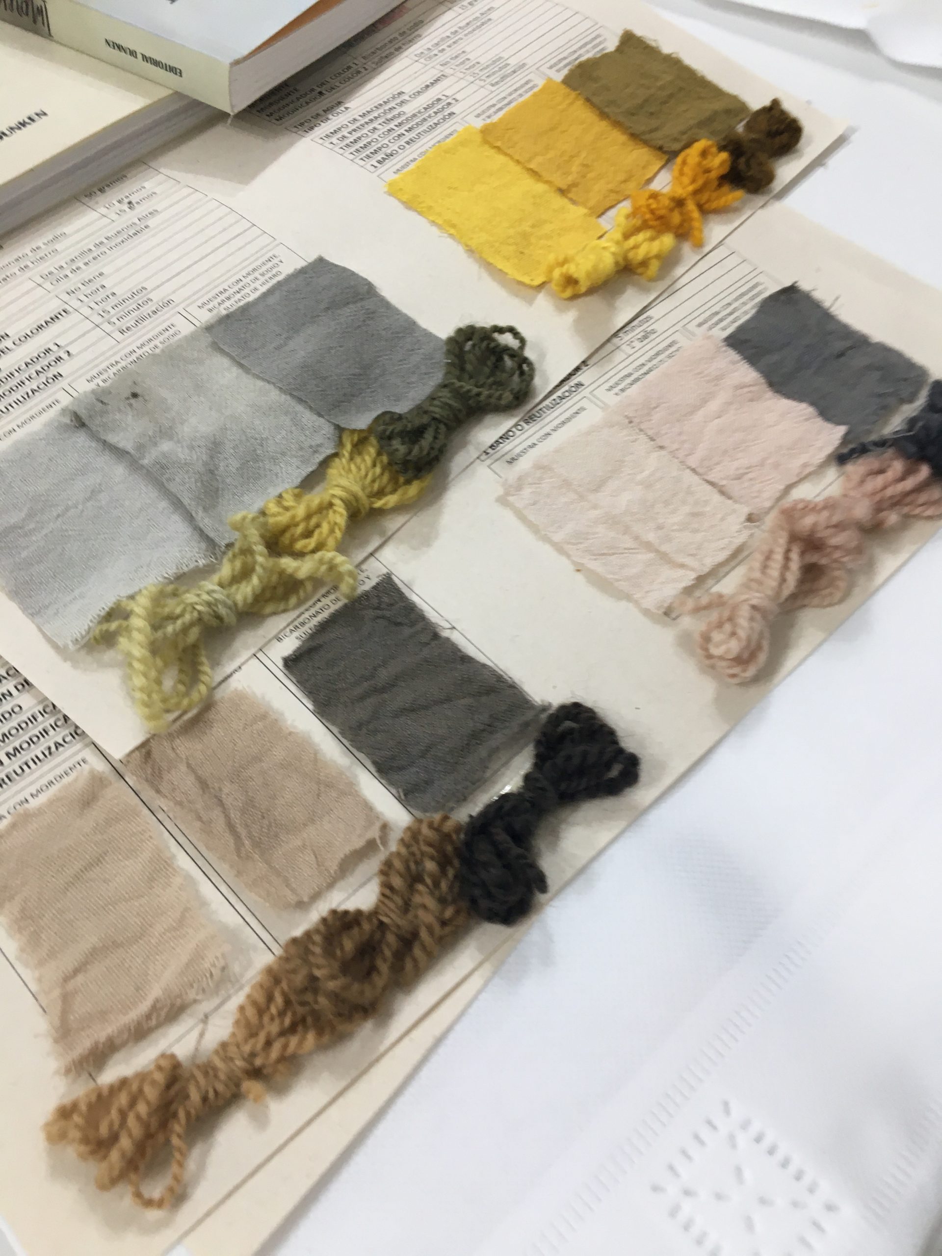 Taller Online Tinto-Express | Teñido Zero Waste - Image 3