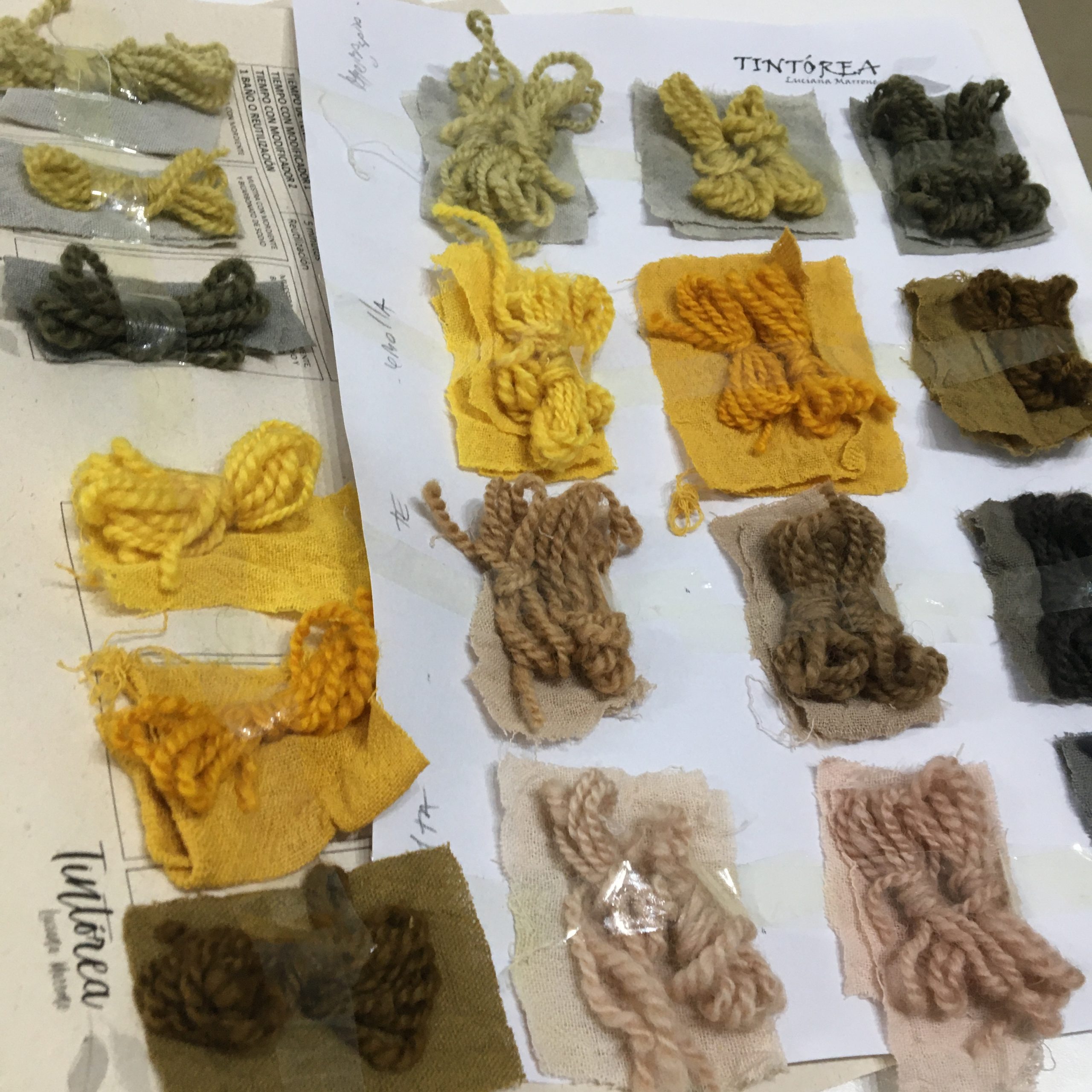 Taller Online Tinto-Express | Teñido Zero Waste - Image 2