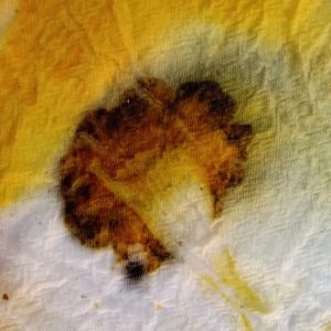 Taller online de Eco print con flores