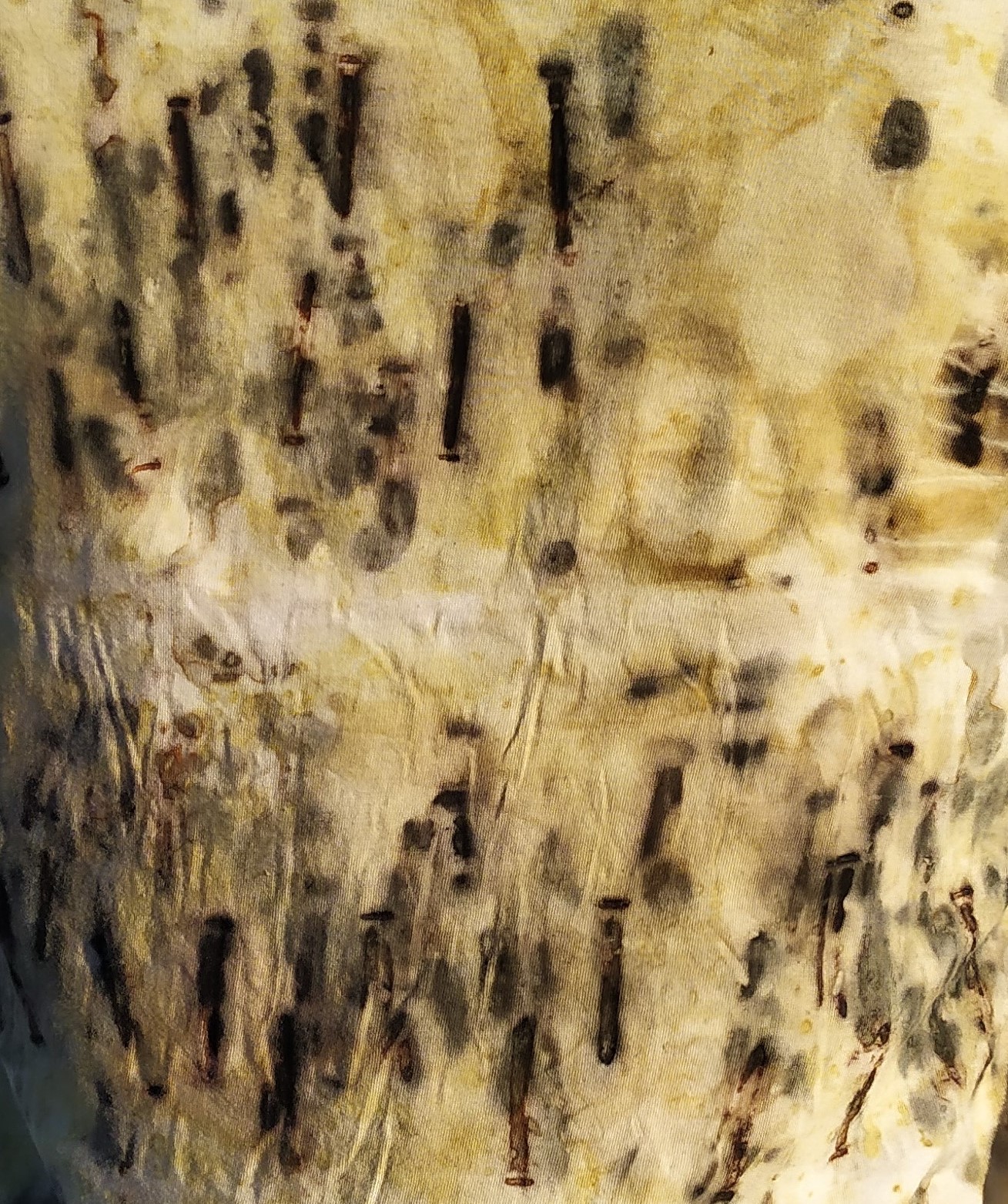 Taller online de estampado con óxidos